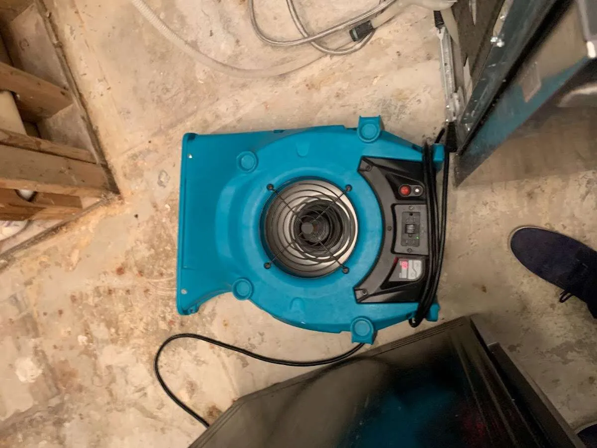 Air mover drying equipment for Mold Remediation & Removal in Montgomery